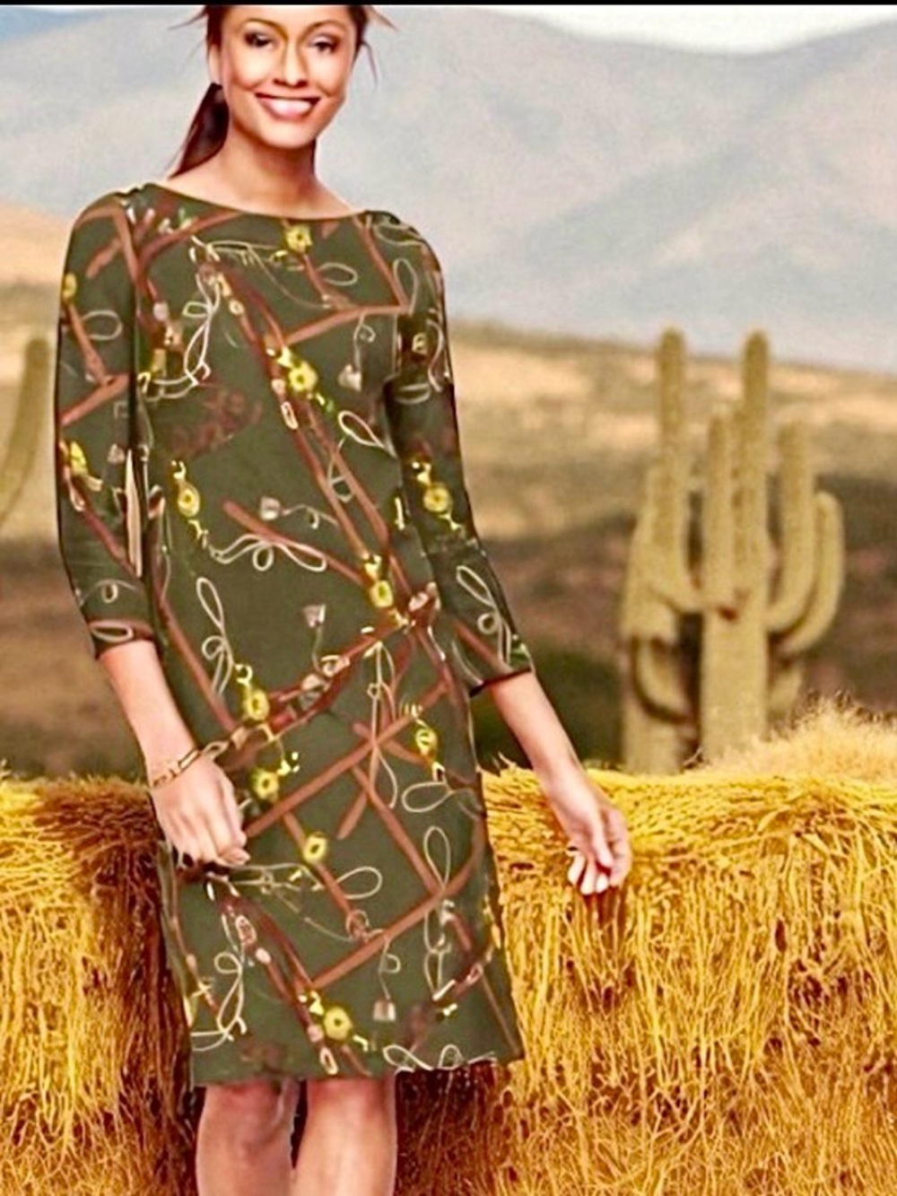 TALBOTS PETITE OLIVE GREEN EQUESTRIAN PRINT SHIFT DRESS SIZE LP - Picture 5 of 16